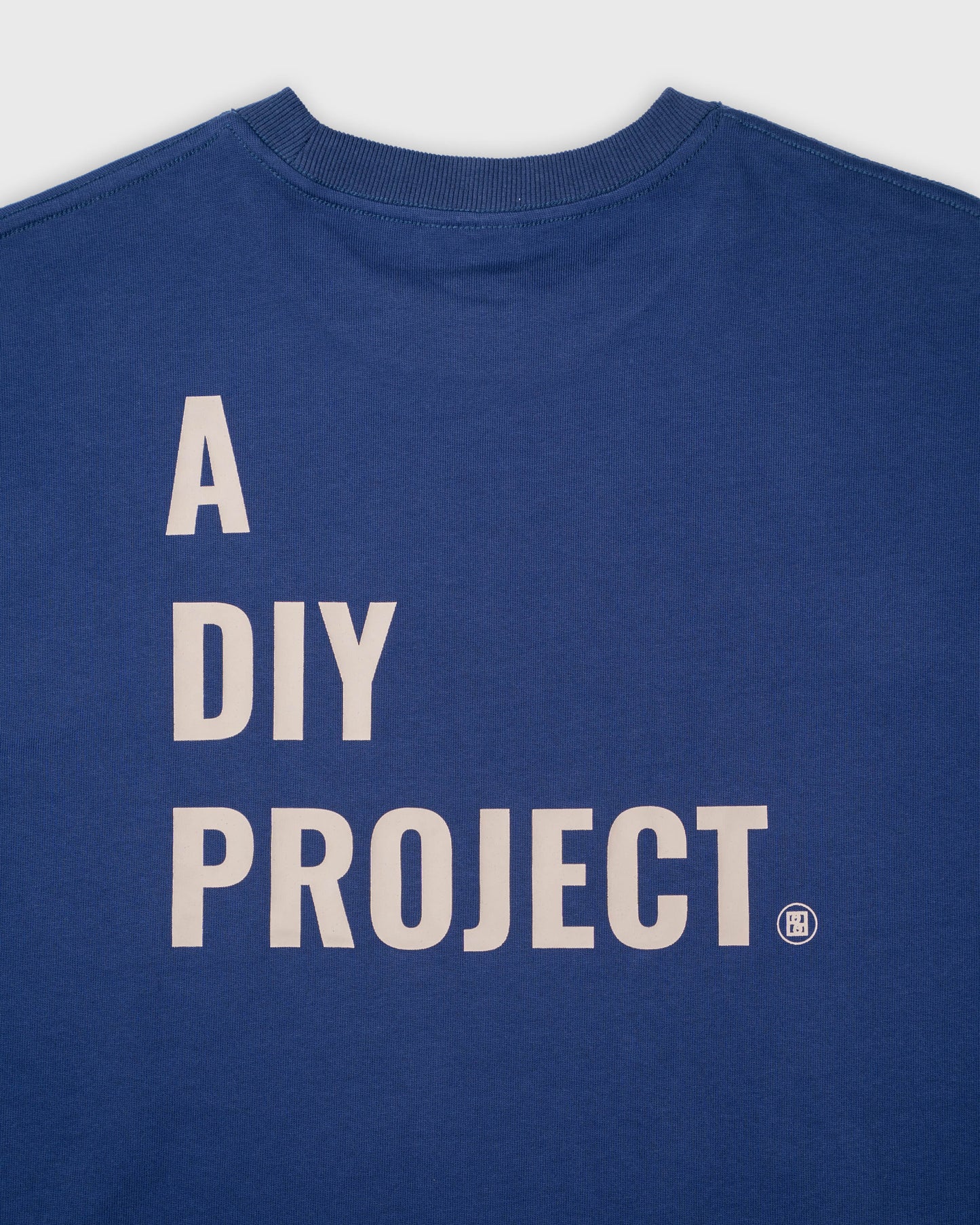 BLURRY RTM A DIY PROJECT T-Shirt (Navy Blue/Beige)