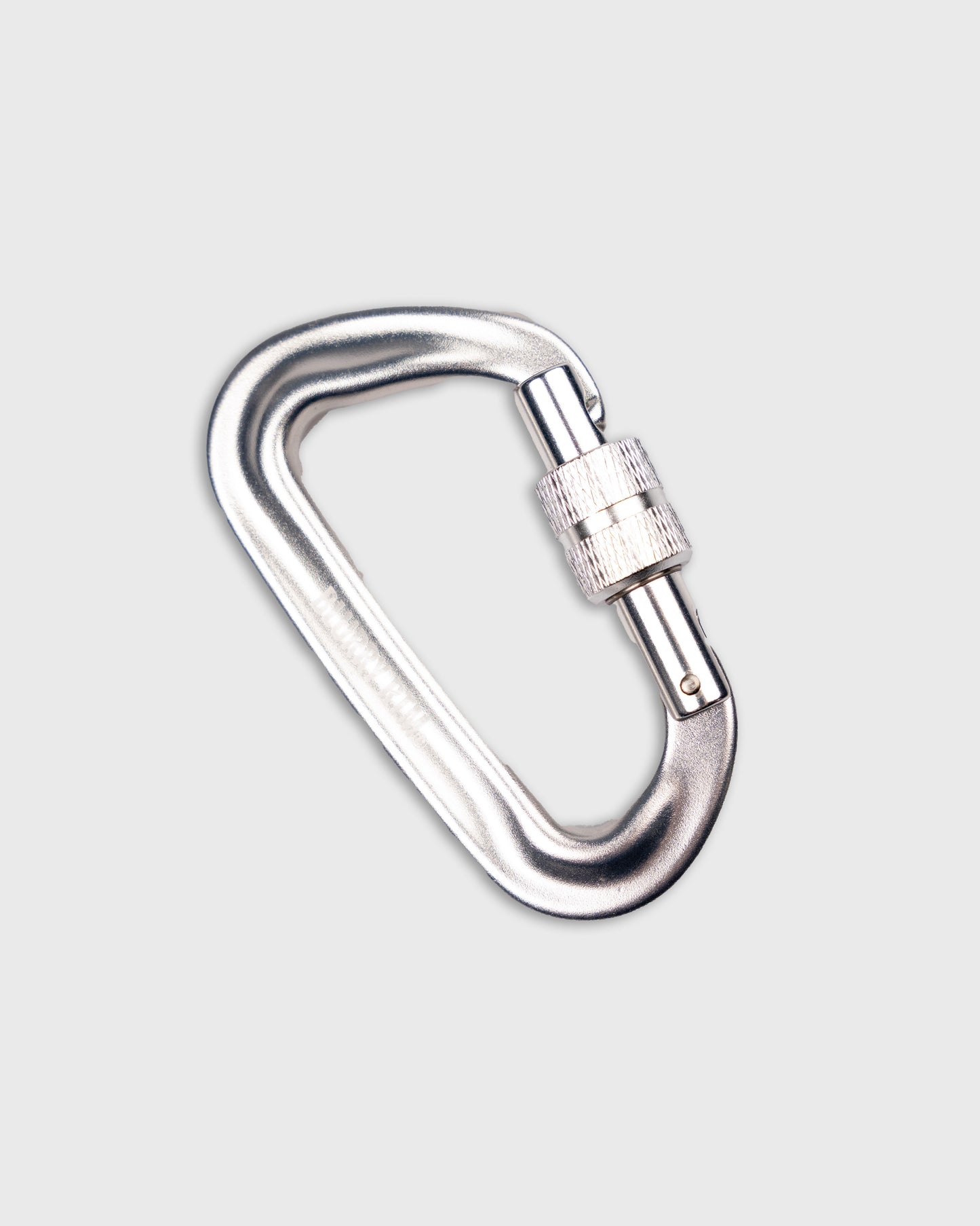 BLURRY RTM CARABINER (Silver)