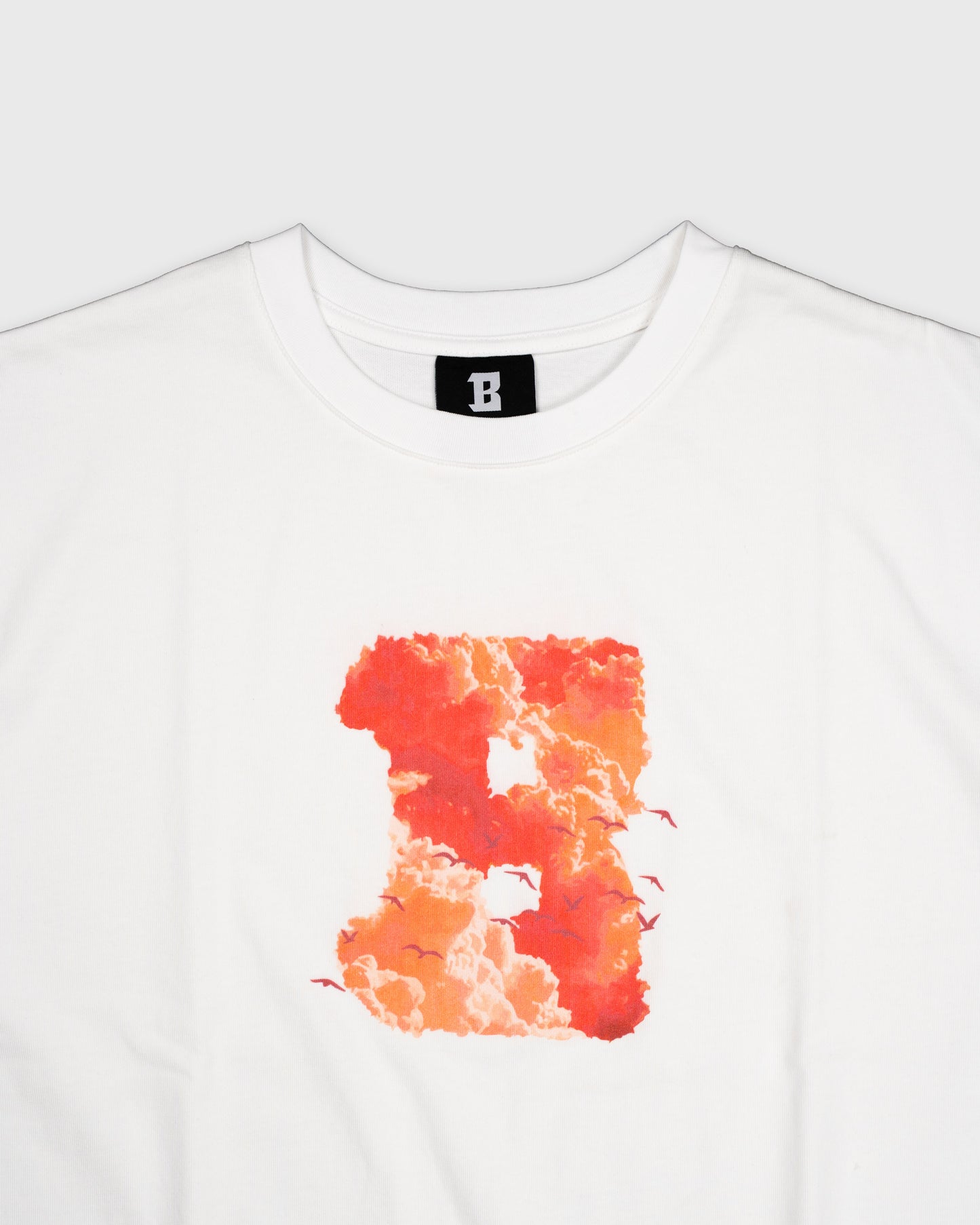 BLURRY RTM 5 Year Anniversary Cloud T-shirt (White/Pink)