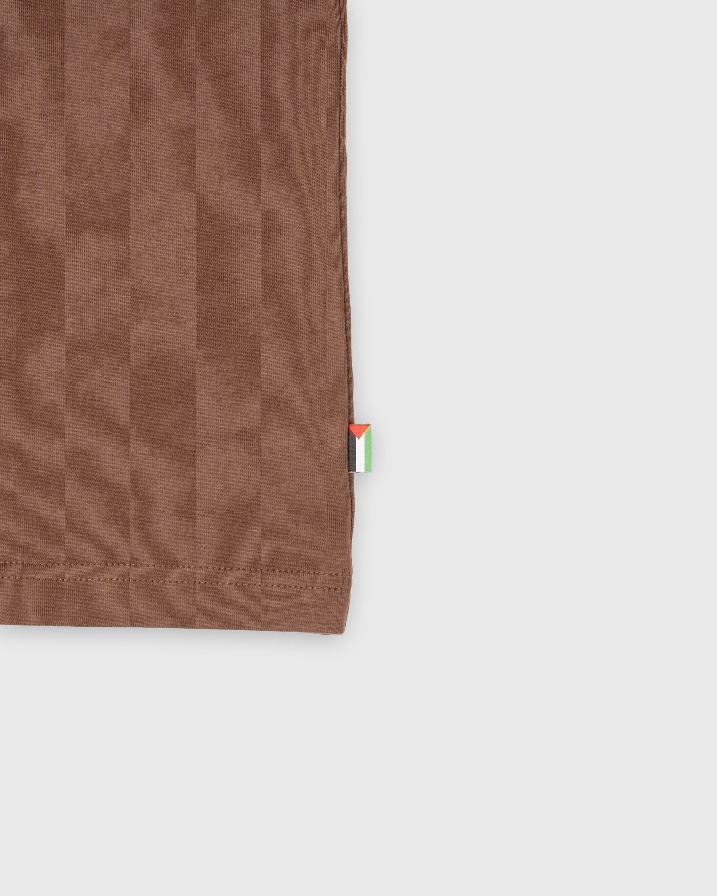 BLURRY PALESTINE 1927 COIN T-Shirt (Mocha Brown/White)