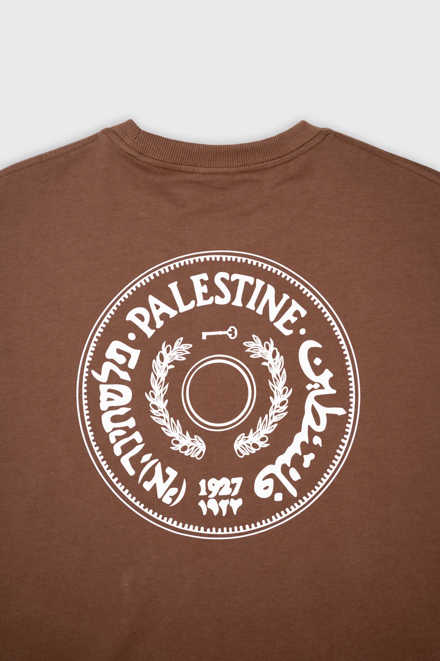 BLURRY PALESTINE 1927 COIN T-Shirt (Mocha Brown/White)