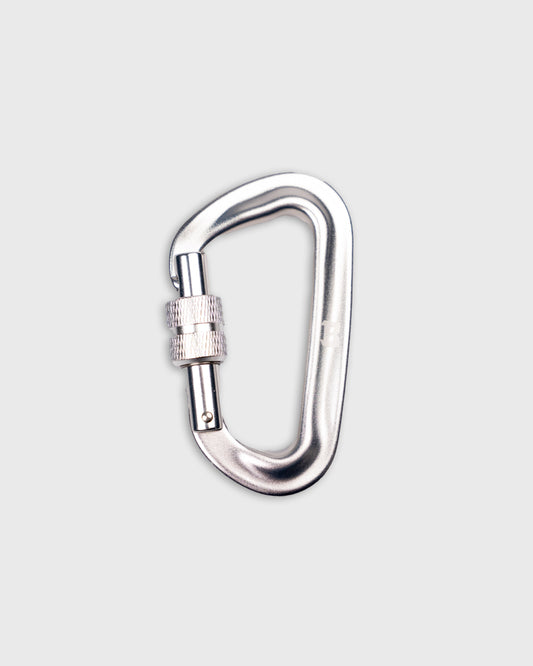 BLURRY RTM CARABINER (Silver)