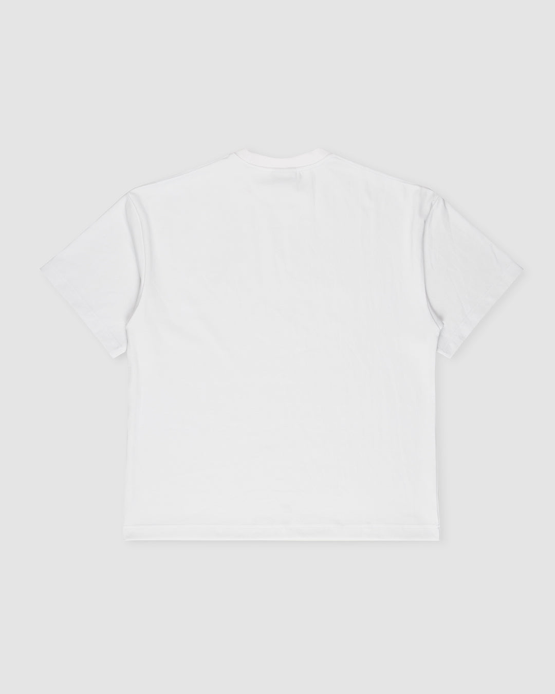 BLURRY RTM 23 T-Shirt (Daisy White/Blue)